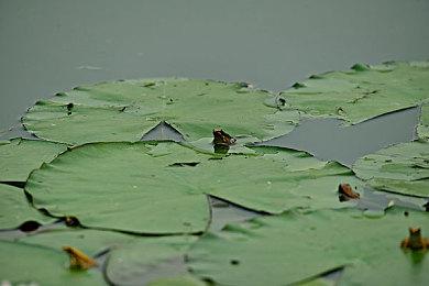 《星刃》主线时长25小时 完美通关要50小时
